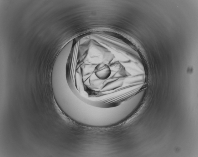 X0000094350905200711301359