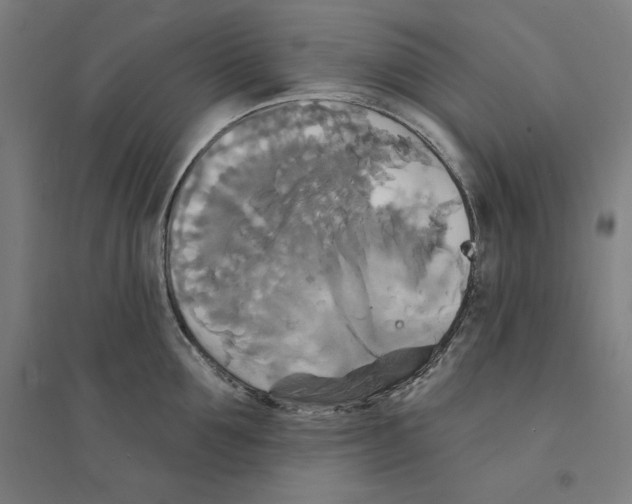 X0000094350907200711301359