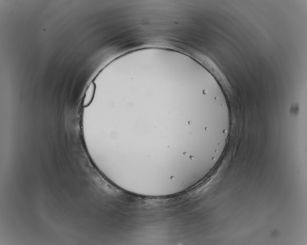 X0000094350908200711301359