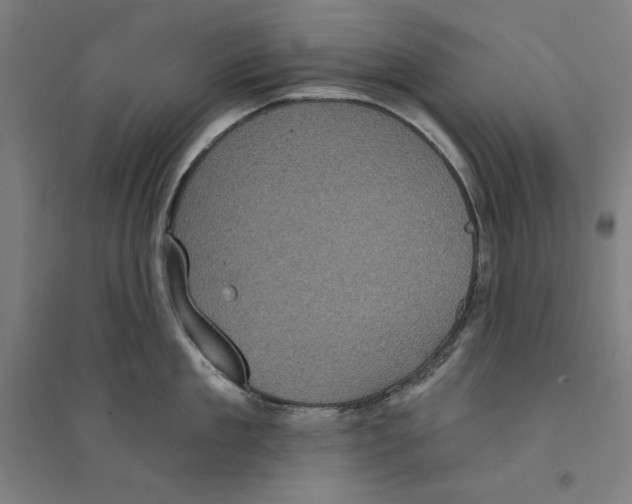 X0000094350909200711301359