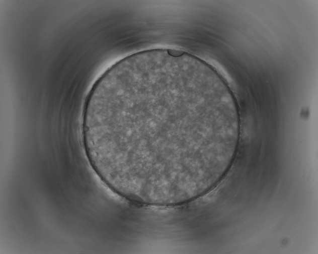 X0000094350910200711301359
