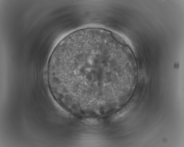 X0000094350911200711301359