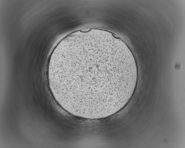 X0000094350912200711301359