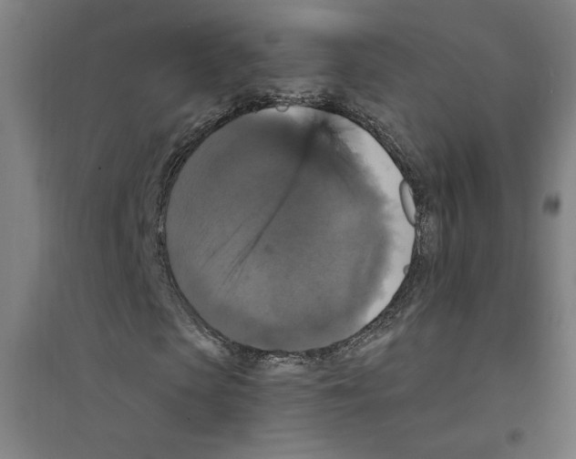X0000094350913200711301358