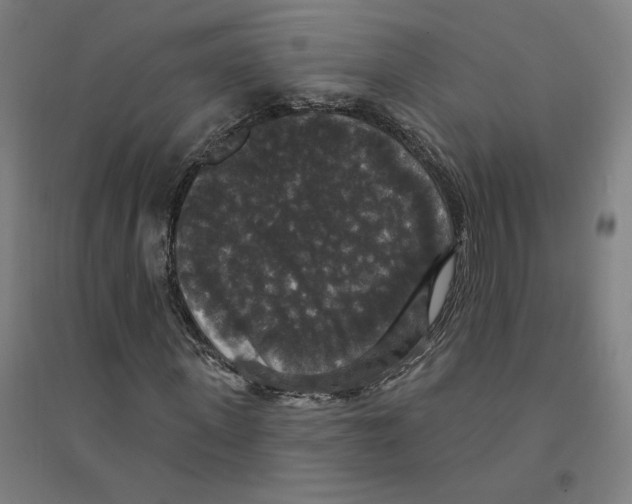 X0000094350915200711301358