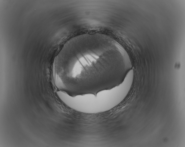 X0000094350916200711301358