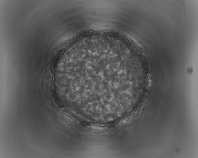 X0000094350917200711301358