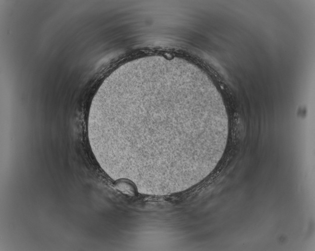 X0000094350918200711301358
