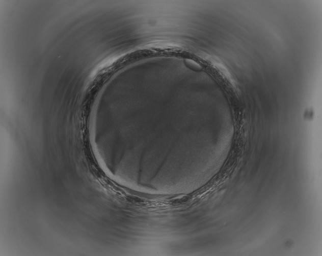 X0000094350920200711301358