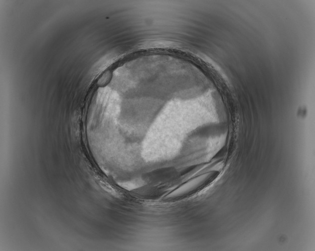 X0000094350921200711301358