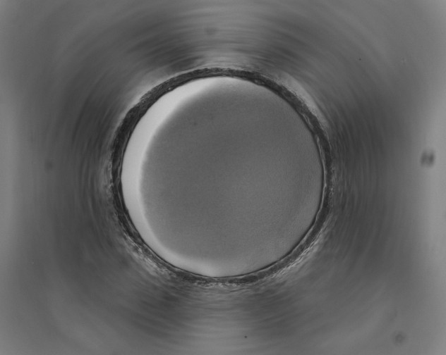 X0000094350923200711301358