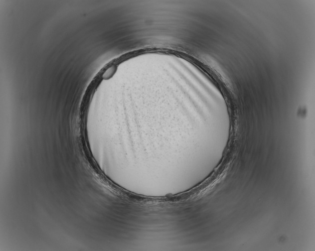 X0000094350924200711301358