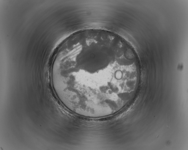 X0000094350925200711301358