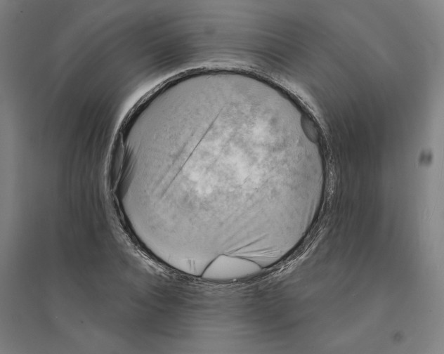 X0000094350928200711301358