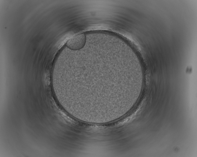 X0000094350929200711301358