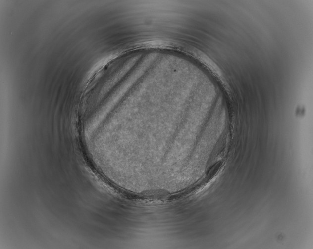 X0000094350930200711301358