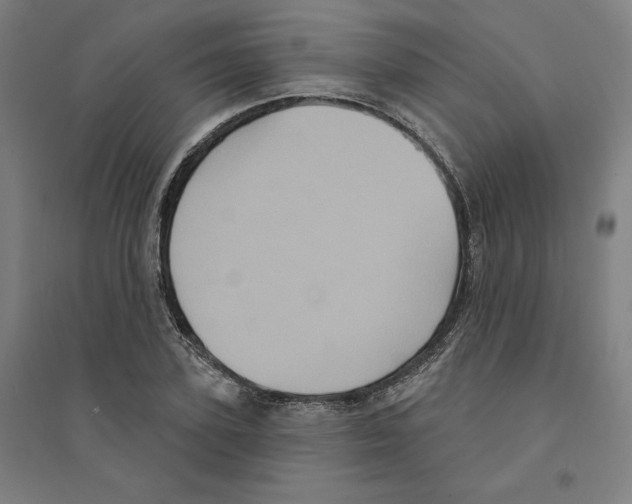 X0000094350931200711301358