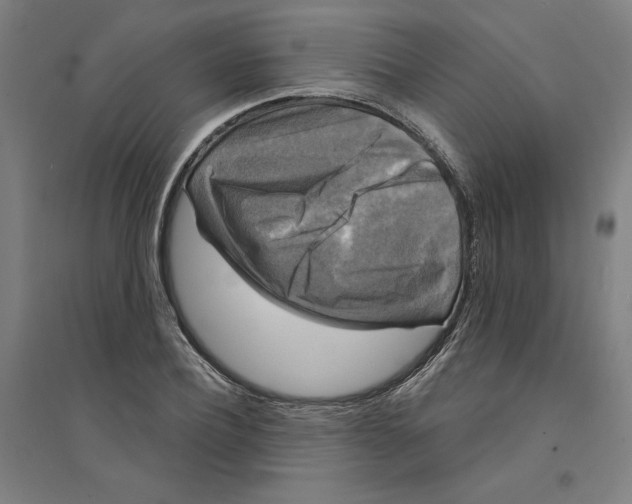 X0000094350932200711301358