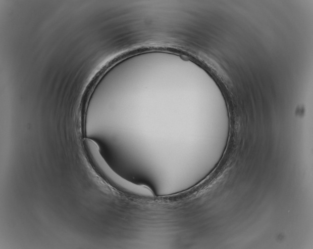 X0000094350934200711301358