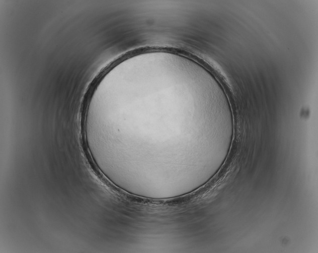 X0000094350935200711301358