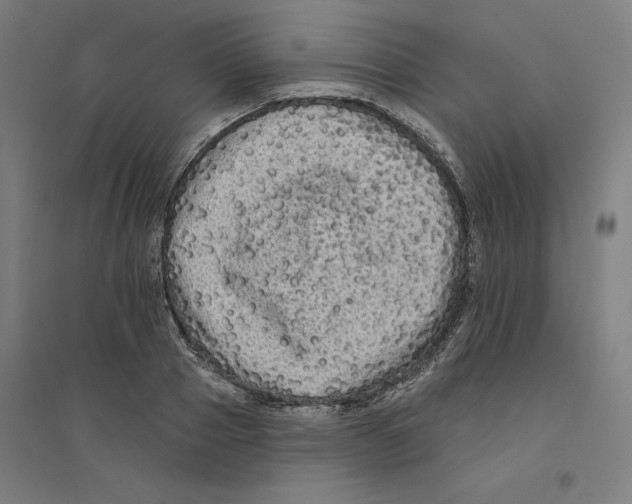 X0000094350937200711301358