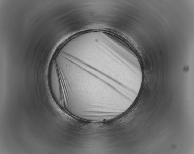 X0000094350939200711301358