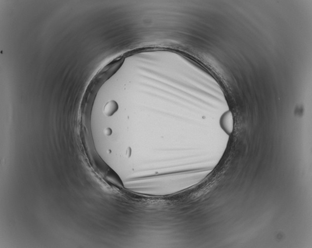 X0000094350940200711301358