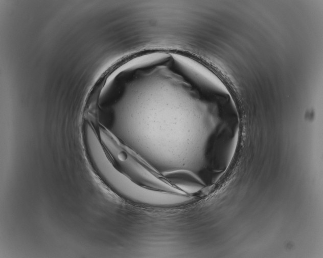 X0000094350942200711301358