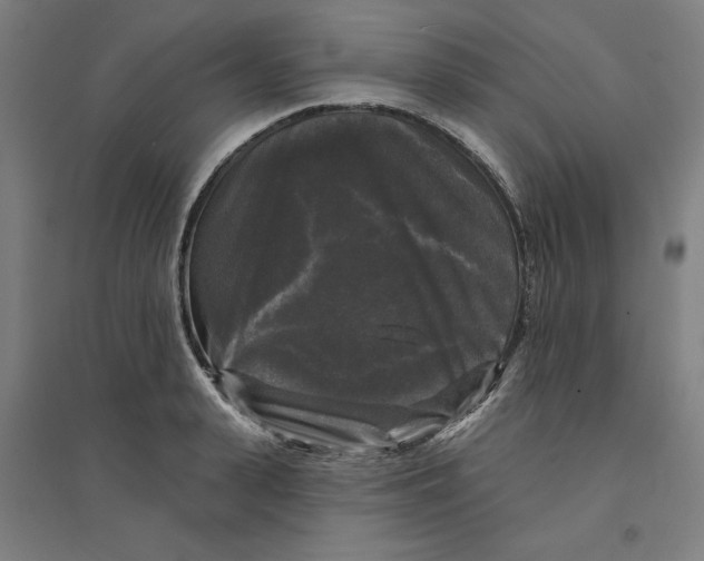 X0000094350943200711301358