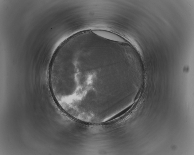 X0000094350944200711301358