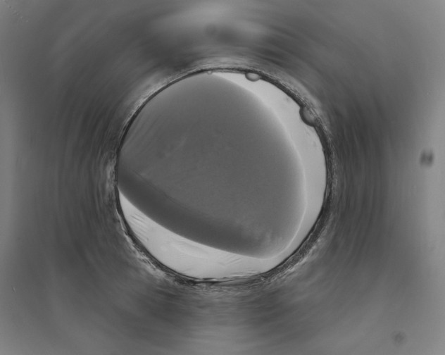 X0000094350945200711301358