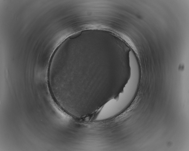 X0000094350946200711301358