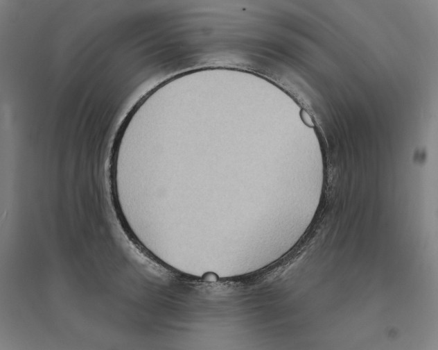 X0000094350947200711301358
