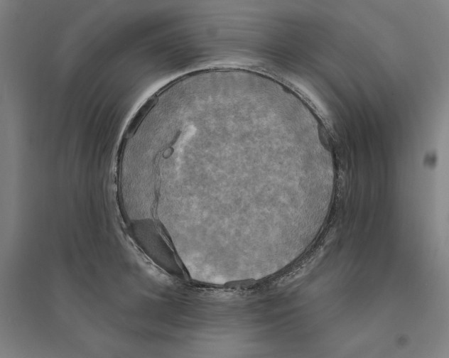 X0000094350948200711301358