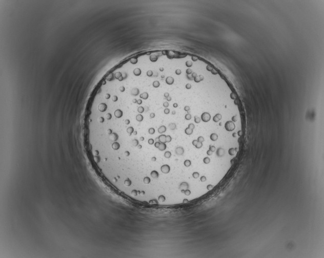 X0000094350949200711301358
