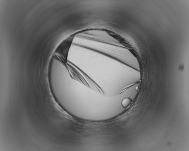 X0000094350950200711301358
