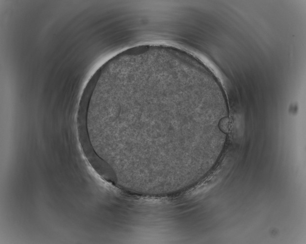 X0000094350951200711301358