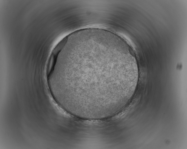 X0000094350952200711301358