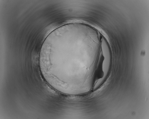 X0000094350953200711301358