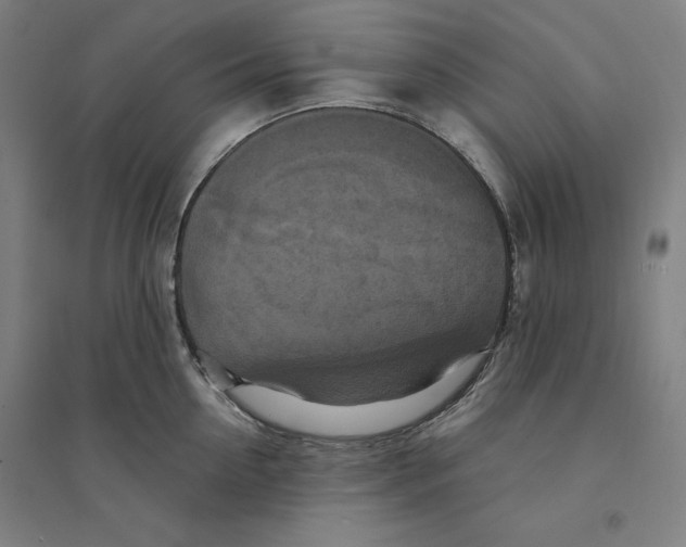 X0000094350954200711301358