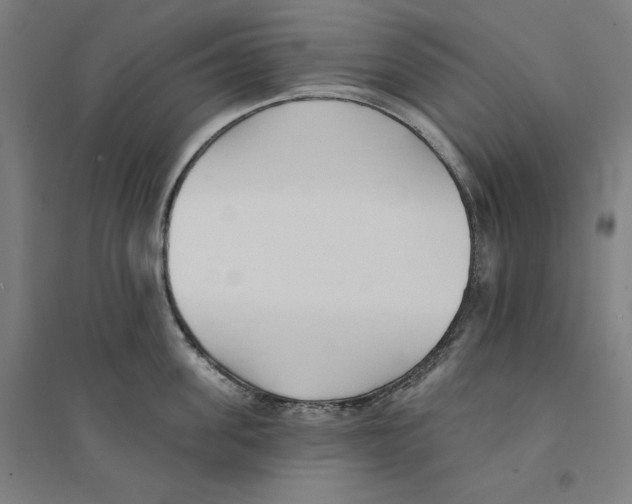 X0000094350955200711301358