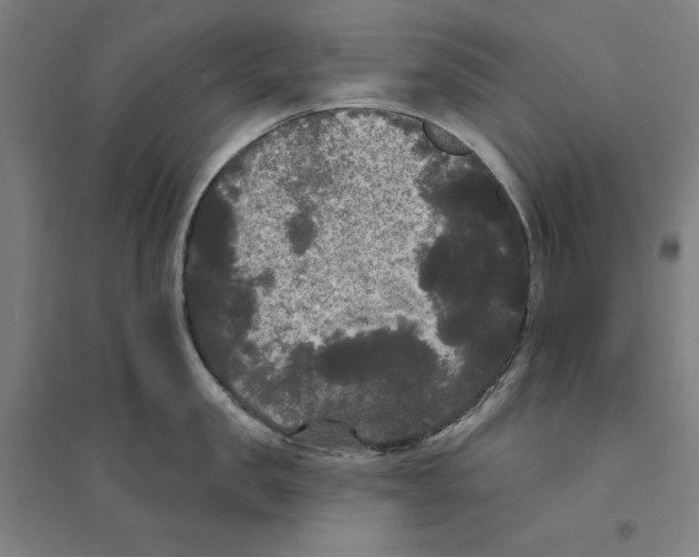 X0000094350957200711301358