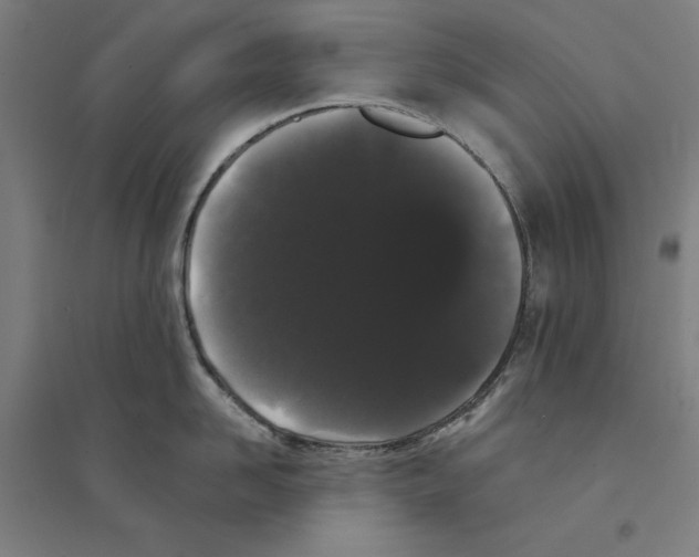 X0000094350958200711301359