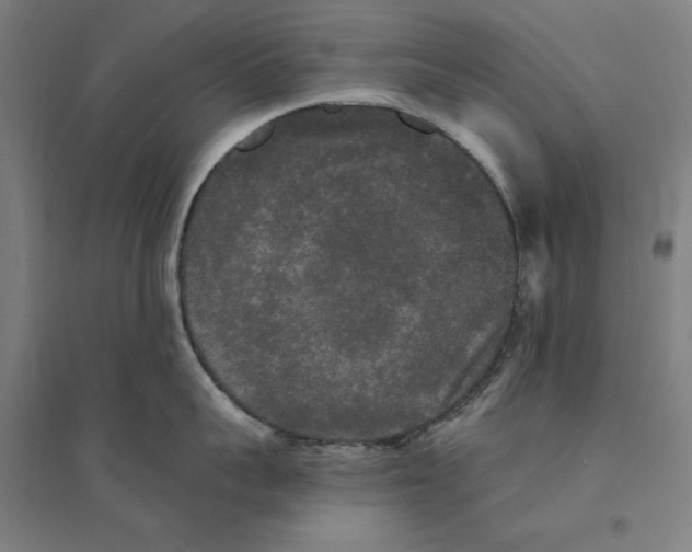 X0000094350959200711301359