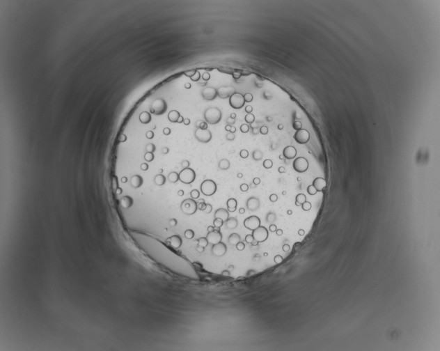 X0000094350960200711301359