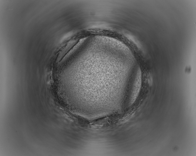 X0000094350965200711301358