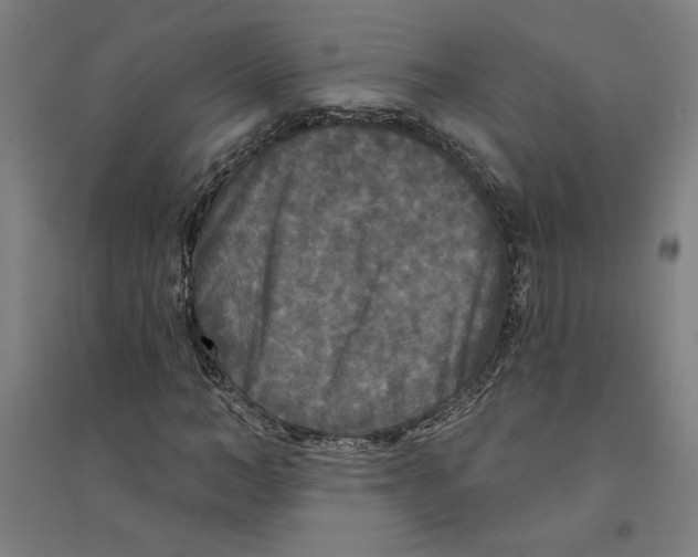 X0000094350966200711301358