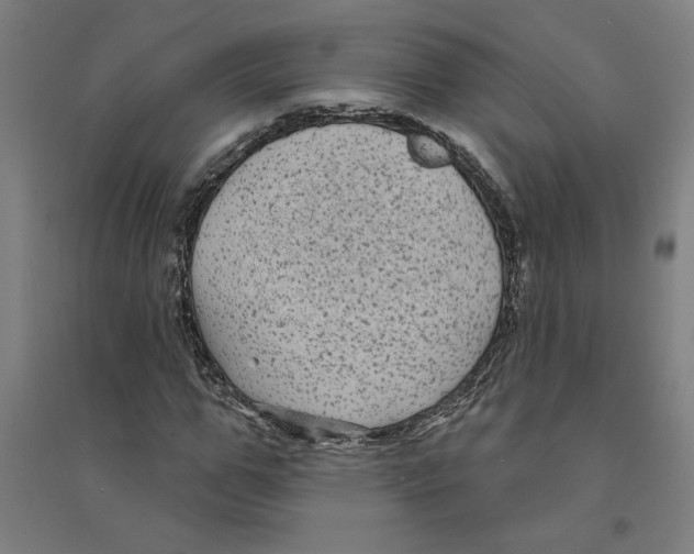 X0000094350967200711301358