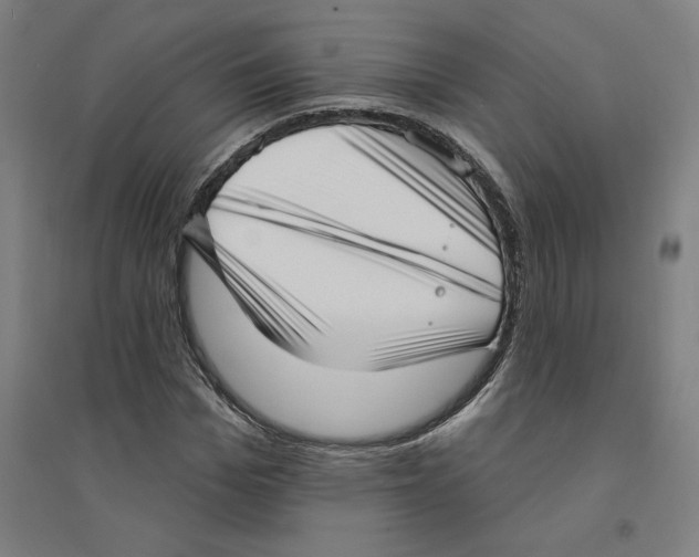 X0000094350969200711301358