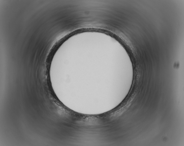 X0000094350974200711301358